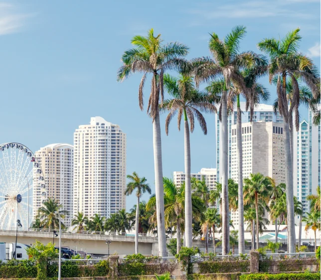 Miami, FL - RSE Distributors