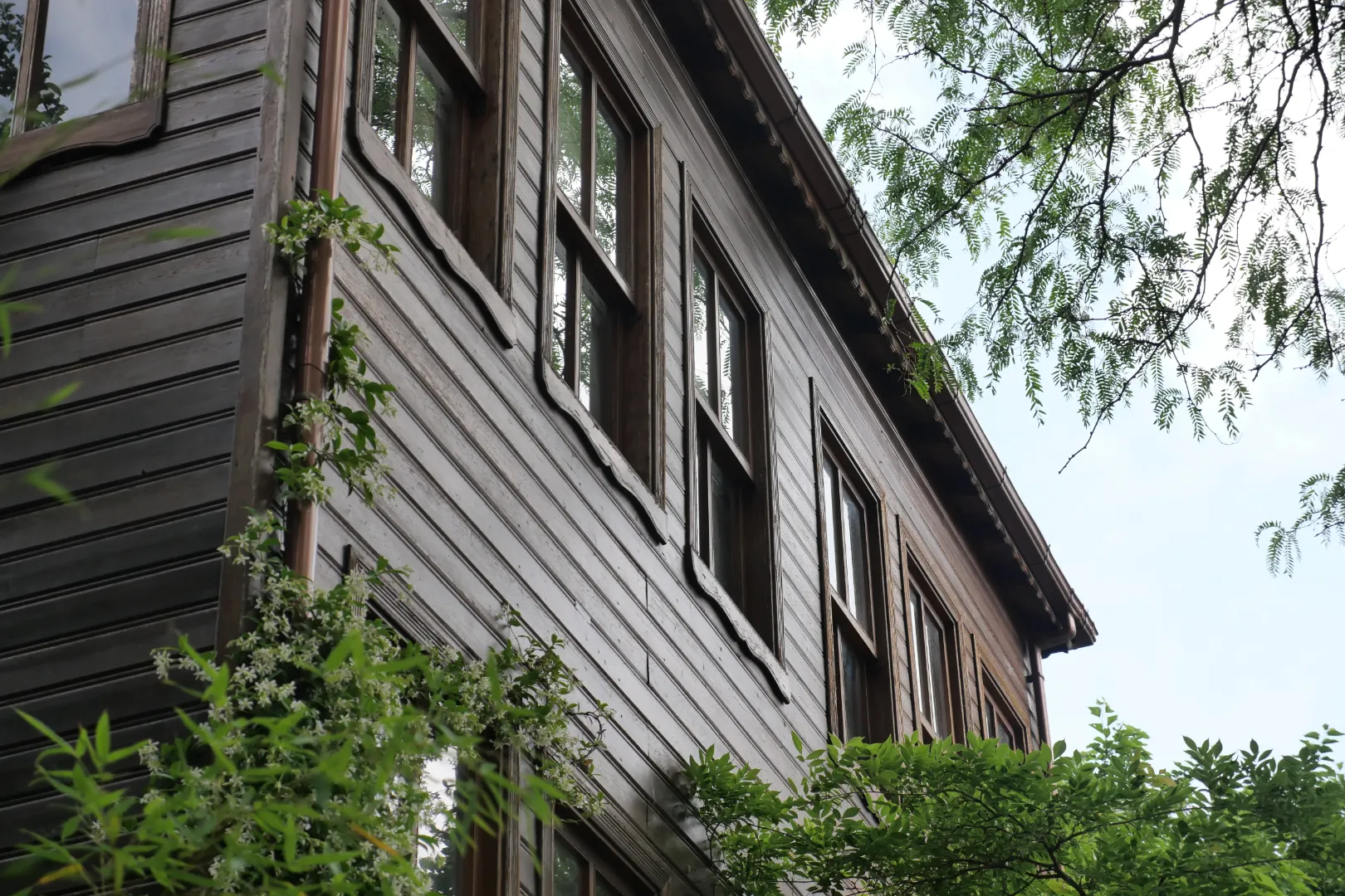 Siding That Looks Like Wood: Materials, Benefits, and Costs