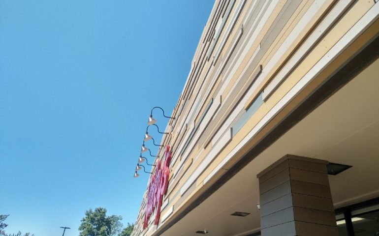 Gallery image 4 for Raley’s Supermarket, Carmichael, CA