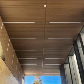 Soffit and Ceilings